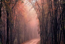 莫蘭特自信回應籃網教練：我只是讓他們火大並沒有說什麼過分的.