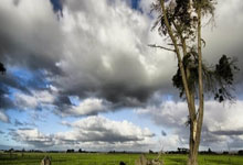 JN江南：付政浩：小崔重傷緣於意外之禍亦或因急於求成而生的隱憂.