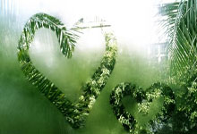 JN江南：2022卡塔爾世界杯小組賽分組名單.