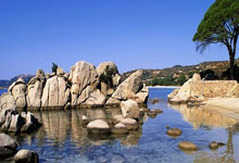 JN江南：孔德昕：勇士總是比對手能量高漲 庫裏在關鍵時刻全力以赴.